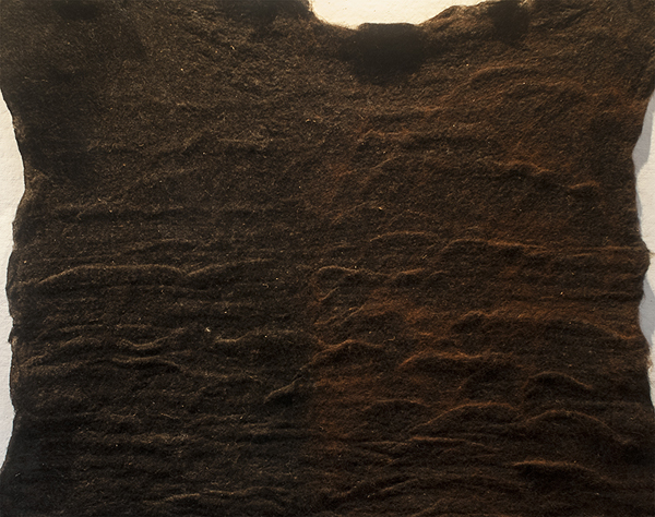 2-FeltedWool_600px