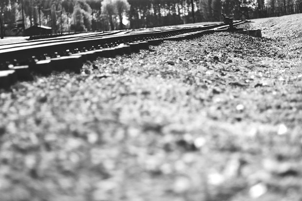 3-fieldtracksbirkenau