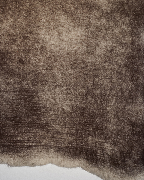 5-SheeplLlamaWool_600px