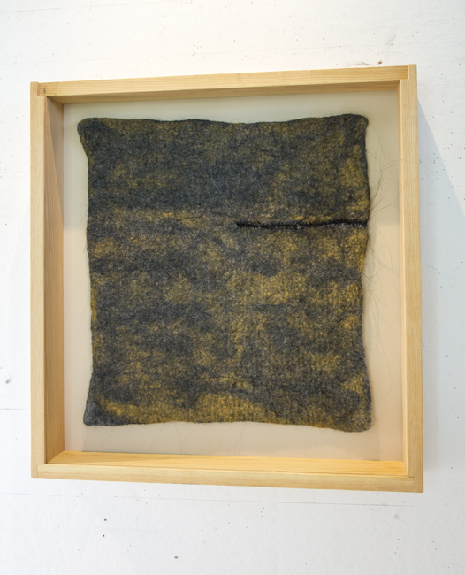 6-Soma2-FrameWound981